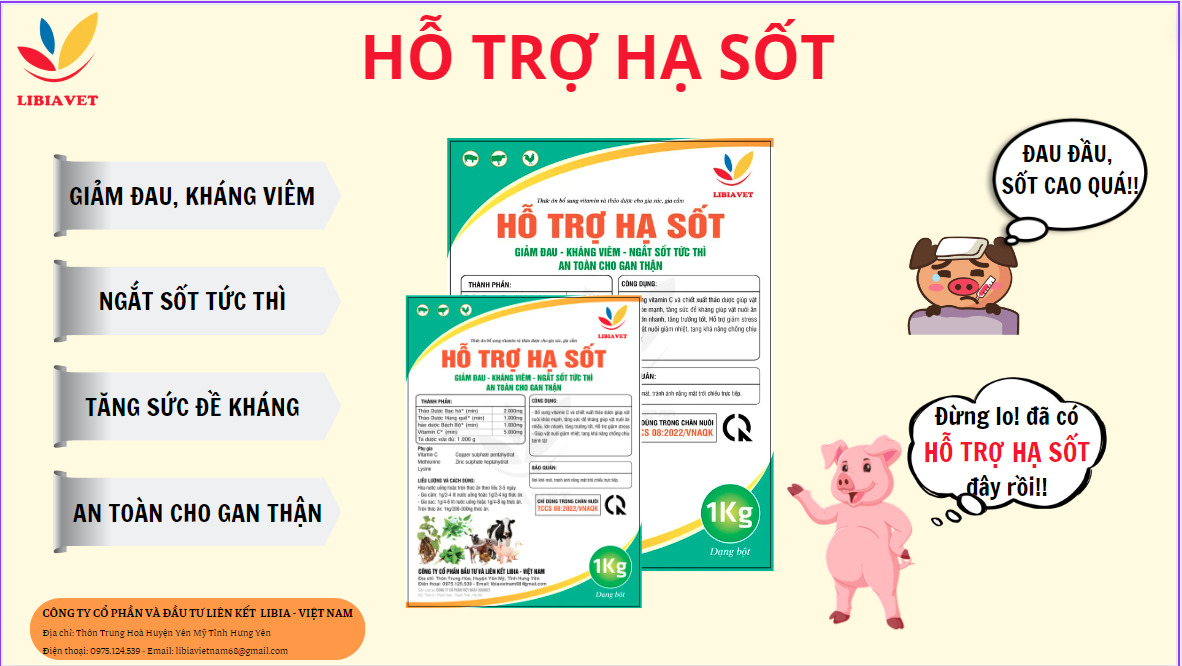 Hỗ Trợ Hạ Sốt